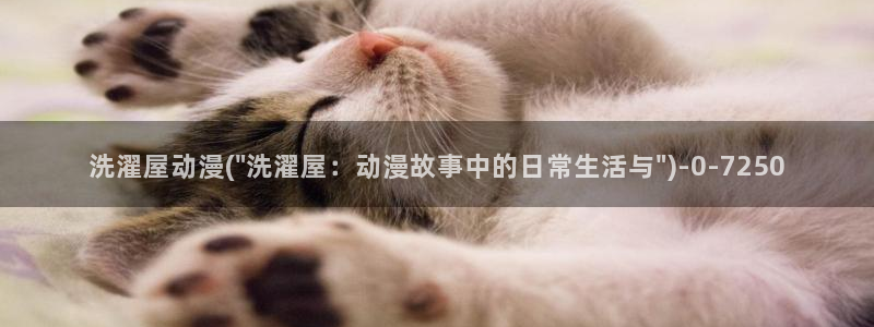 完美世界动漫