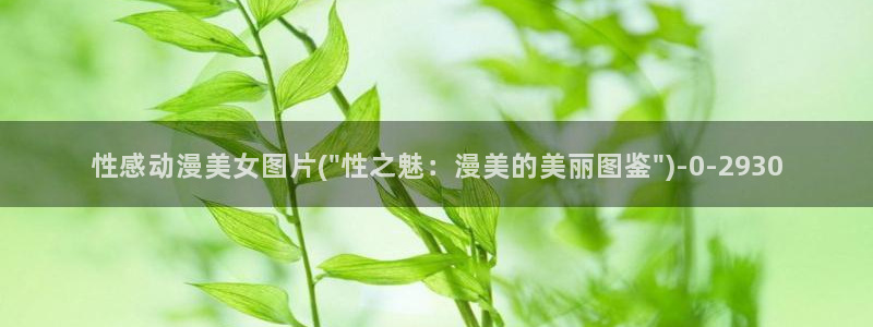 78动漫模型玩具网